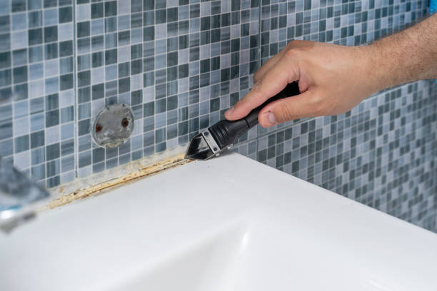 Mold Removal Process in West Little River, FL
